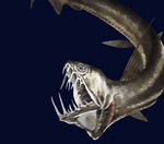 Aggressive Viperfish