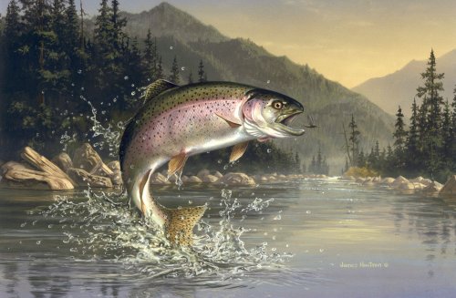 Jumping Trout wallpaper