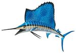 Sailfish drawing