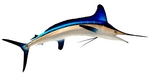 Write Billfish